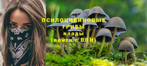 гидропоника Абинск